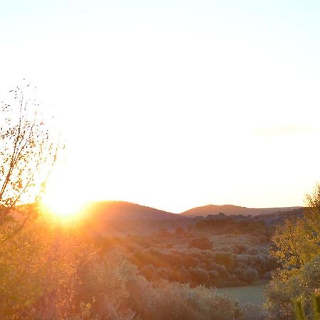 Casa Rural El Vihuelo El Bosque Eksteriør billede