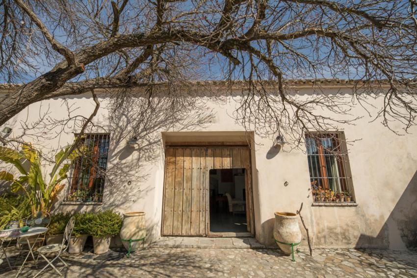Casa Rural El Vihuelo El Bosque Eksteriør billede