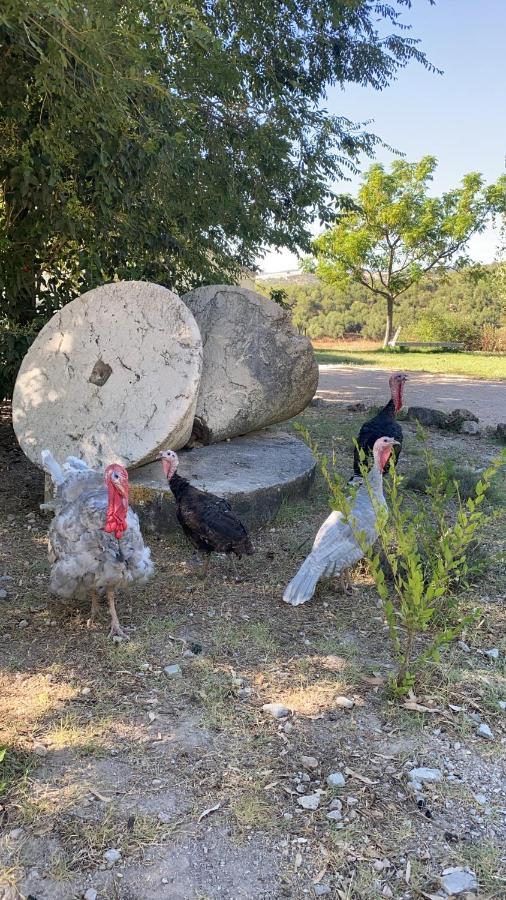 Casa Rural El Vihuelo El Bosque Eksteriør billede