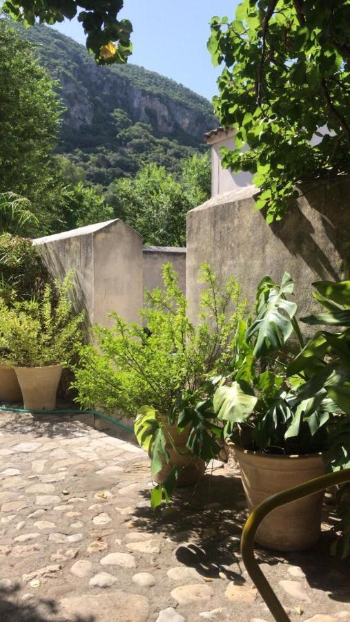 Casa Rural El Vihuelo El Bosque Eksteriør billede