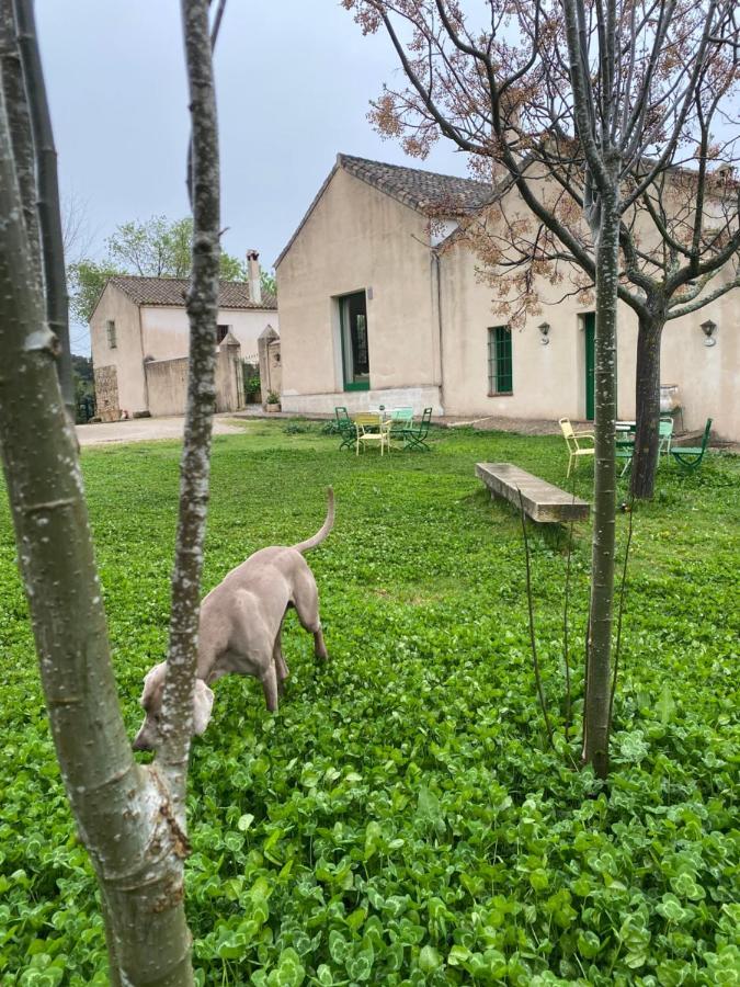 Casa Rural El Vihuelo El Bosque Eksteriør billede