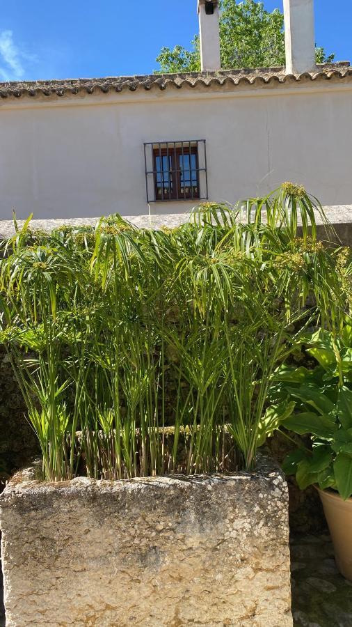 Casa Rural El Vihuelo El Bosque Eksteriør billede