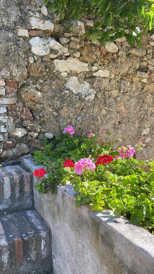 Casa Rural El Vihuelo El Bosque Eksteriør billede