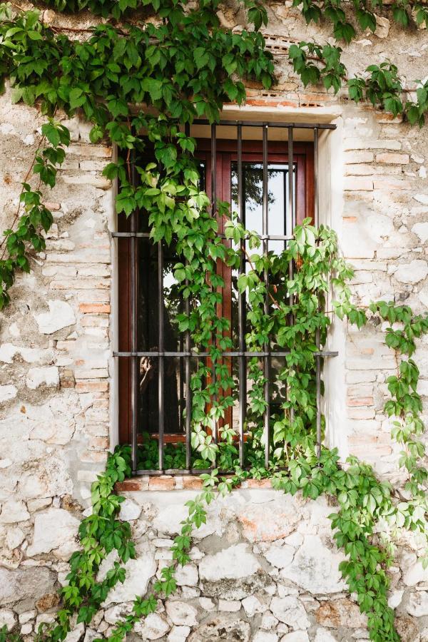 Casa Rural El Vihuelo El Bosque Eksteriør billede