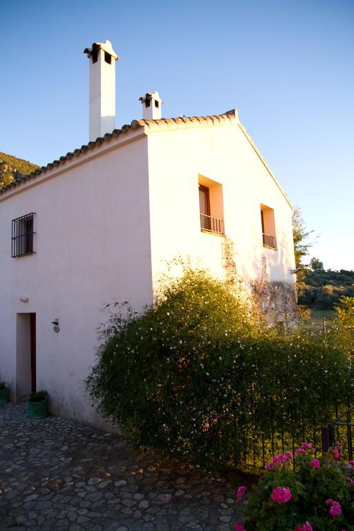 Casa Rural El Vihuelo El Bosque Eksteriør billede