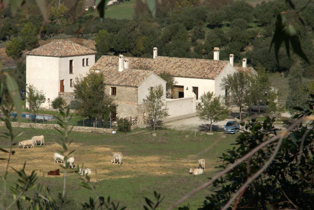 Casa Rural El Vihuelo El Bosque Eksteriør billede